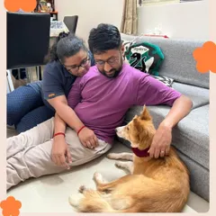 This is the moment it's all for. Foxie, once a shy dog at our shelter, is now showered with love by her new family, Ankit and Devika. Seeing our rescued Indies become cherished family members is the greatest reward for our work.