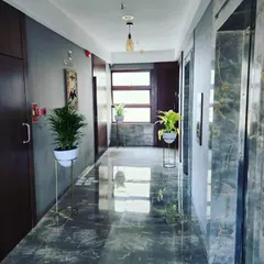 Simple and elegant. We placed these plants in stylish pots on tall stands to add vertical interest to a residential building corridor, making the space feel more welcoming.
