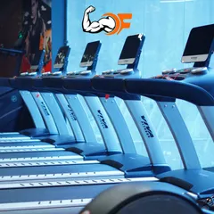A close-up of our fleet of VIVA Fitness treadmills. We invest in high-quality equipment to ensure our members have the best tools for their cardio workouts.