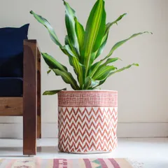 My block-printed fabric baskets are a stylish alternative to traditional planters. This one, with its rust-colored chevron print, adds a touch of bohemian charm to this large floor plant.