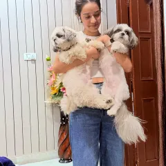 Look at that happy family! Koko is finally home in India after his journey from Canada, reunited with his best friends. I love seeing them all together again, happy and settled.