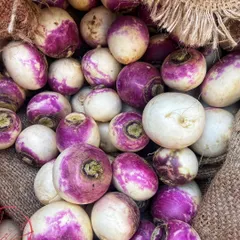 Fresh turnips, or shalgam, ready to be pickled. These are one of the key ingredients that give our Gajar Gobhi Shalgam pickle its unique texture and flavour.