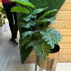 This large artificial Philodendron plant makes a bold statement. Its large, detailed leaves look incredibly realistic, and it comes in a contemporary metallic planter, ready to be placed in any home or office.