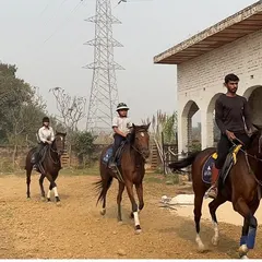 Our boarders have full access to safe riding grounds. Here, a certified trainer leads a session in our sandy practice area, helping riders build skill and confidence.