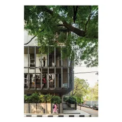 The building's design actively engages with the large rain tree on the site. The structure is set back, and the staggered balconies are positioned to offer different views of the tree, making it a central part of the architectural experience.