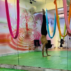Mastering the art of the handstand teaches resilience, focus, and determination. We work on building the foundational strength and balance needed to safely practice inversions, both in our mat and aerial classes.