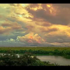 A sunset view from my balcony over the wetlands of Navi Mumbai. The period between day and night is a magical time to connect with nature's stillness. In the gaps between the absolutes, just like the gap between breaths, lies a profound calm.