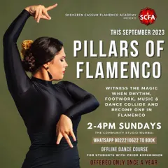 For more experienced dancers, I offer my signature 'Pillars of Flamenco' workshop. This poster shows a dancer embodying the focus we cultivate. In this course, we move beyond choreography to integrate the four pillars: cante (singing), baile (dance), toque (guitar), and palmas (rhythm), which is essential for any serious student.