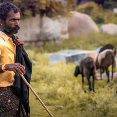 The weathered face of this shepherd in Hampi tells a thousand stories. I wanted to create a character portrait that felt honest and respectful. By using the natural environment and side lighting, I could highlight the textures and quiet dignity in his expression.