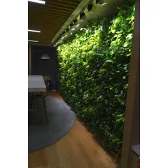 A floor-to-ceiling vertical garden featuring blooming Peace Lilies brings life and tranquility to this modern corporate dining area. The living wall acts as a natural air purifier and a beautiful, dynamic piece of art.