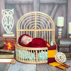 For the fans of magic, my Harry Potter themed newborn shoot is a dream come true. I provide all the props, including the iconic scarf and a cozy setting, to create a truly enchanting portrait.