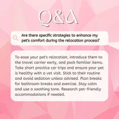 We believe in empowering pet parents with information. This Q&A graphic offers practical tips for enhancing your pet's comfort during relocation, such as familiarizing them with their carrier and maintaining their routine.
