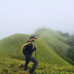 A beautiful view of the rolling green hills, often called the 'Shola' grasslands, during our trek.