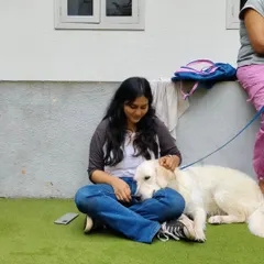 Sometimes, my job just involves sitting on the grass and getting cuddles from a sweet Golden Retriever. Building a calm, trusting relationship is the foundation of all my training work.