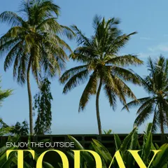 With clear blue skies and towering palm trees, my venue offers a tropical vibe right here in Bangalore. I wanted to create a place where you can truly enjoy the outdoors, surrounded by nature.