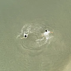 A spontaneous moment of joy, captured from above. The couple decided to take a dip in the sea, and this aerial shot shows their playful, carefree spirits.