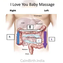 This anatomical diagram shows the path of your baby's colon. The 'I Love You' massage strokes follow this path to gently move gas and aid digestion. Understanding the 'why' behind the technique makes the massage even more effective for relieving your baby's discomfort.