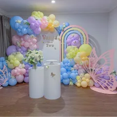 A beautiful butterfly-themed second birthday for Vanya. The decor uses a soft pastel color palette for the balloons, with delicate butterfly cutouts and a large butterfly wing prop for photos.