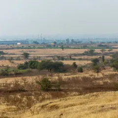 A vast grassland habitat with factories and industries on the horizon. This image shows the increasing pressure of development on India's wild spaces.