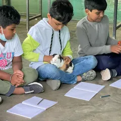 After interacting with the animals, students take time to draw and write in their journals. This crucial step helps them process their observations, solidify their learning, and practice scientific documentation.