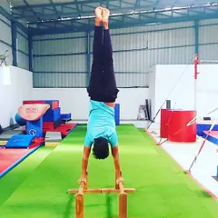 A clean handstand on the parallettes, demonstrating excellent balance and shoulder strength. This is a result of consistent conditioning and practice.