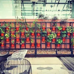 At the Sheraton Grand's Alfresco by Bene, we designed this striking plant grid using vibrant red pots. This custom installation serves as a colorful and lively privacy screen for the outdoor seating area, adding character to the space.