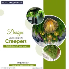 Design your ceiling with creepers to lift the look of your space. This collage shows how hanging ferns and vines can create a stunning green canopy.