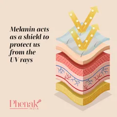Melanin is more than just color; it's your skin's natural shield. It helps protect the outer layers of your skin from UV light by absorbing radiation before it can damage the DNA in your skin cells. This is why sun protection is still important for everyone.