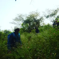 Navigating through tall grass and thick brush. We teach you how to read the terrain and find your way, even when the trail isn't obvious.