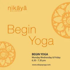 Ready to start? Our 'Begin Yoga' class is the perfect entry point. We focus on foundational poses and mindful breathing in a supportive group setting.