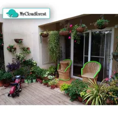 This cozy patio demonstrates how even a small space can be transformed into a plant lover's paradise. I used a mix of hanging baskets, wall-mounted planters, and floor pots to create a dense, multi-level urban jungle.
