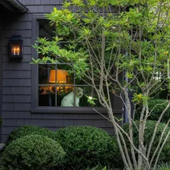 Our planting designs consider the view from both inside and out. Here, a magnolia tree and manicured shrubs frame the window, creating a beautiful living picture.