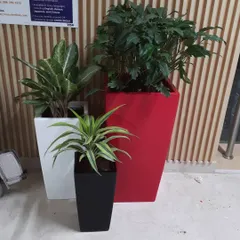 A trio of plants in striking red, white, and black fiberglass planters. This shows how we use planters as design elements to create a cohesive and modern look.