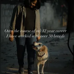Over my 12-year career, I have had the privilege of working with over 50 different breeds. This experience has given me a deep understanding of breed-specific instincts and how to create training plans that honor a dog's unique genetic makeup.