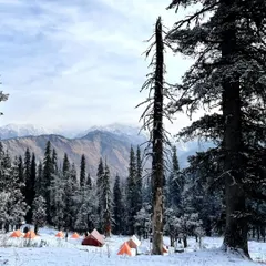 Our campsite on the Kedarkantha trek, surrounded by snow and towering pines. We provide all the necessary gear, including tents and sleeping bags, to keep you warm and comfortable.