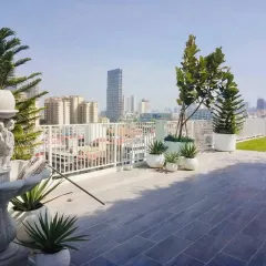 A wide view of a rooftop terrace garden overlooking the city. The design uses large white planters to create defined zones and add a modern touch.