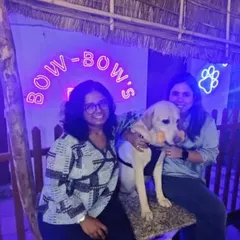 Our pet-friendly cafe is the perfect spot for pet parents to relax while their dogs play. Here, two guests and their Labrador enjoy the comfortable seating under our neon sign.