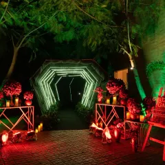 We love creating a dramatic first impression. This illuminated tunnel entrance, lined with bold red floral arrangements, set the tone for a glamorous 'Golden Gala' sangeet, promising a night of high energy and unforgettable moments.