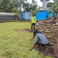 Even challenging conditions like Mumbai's rains don't stop us. Our dedicated team is seen here working on a massive 9,000 square foot lawn installation, ensuring the ground is perfectly prepared for a beautiful result.