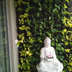 A close-up of a serene corner featuring a white Buddha statue against a backdrop of lush golden pothos. This type of custom vertical garden is perfect for creating a personal meditation spot or a peaceful nook in your home.
