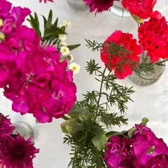 Whispers of love in every petal. A close-up of the vibrant, fresh flowers I use to create stunning arrangements.