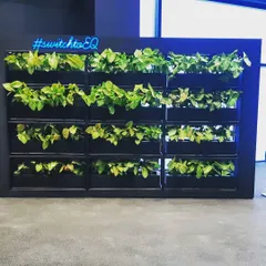 For the Mercedes-Benz EQ showroom, we designed and installed this striking vertical green wall. This living feature wall not only enhances the modern aesthetic of the space but also naturally purifies the air, reflecting the brand's commitment to a sustainable future.