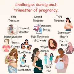 Each trimester brings its own unique set of challenges and milestones, from morning sickness in the first to shortness of breath in the third. I provide continuous support and tailored advice to help you navigate each stage with confidence.