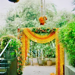 An inviting entrance arch for a Haldi celebration, heavily adorned with cascading garlands of yellow and orange marigolds. This floral archway sets a festive tone right from the moment guests arrive.