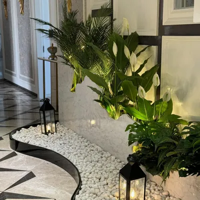 We transformed the often-overlooked space under a staircase into a serene focal point. This design uses a bed of white pebbles, elegant lanterns, and a curated selection of plants to create a hidden gem in the home.