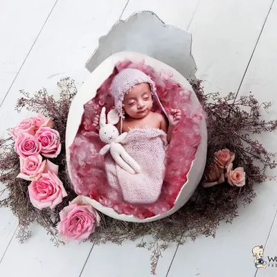 A classic newborn portrait, with the baby nestled safely inside a prop egg shell surrounded by soft pink roses. This artistic setup creates a beautiful and timeless image.