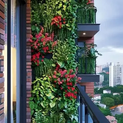 This is a close-up of a large-scale vertical garden installation. By combining different textures and colors of foliage, I can create a living wall that is both a piece of art and a breath of fresh air for your building's exterior.