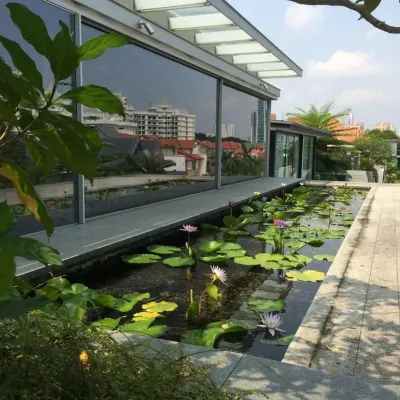 A modern water lily pond runs alongside a building with large glass walls. The reflection of the sky and surrounding buildings on the water's surface adds another layer of beauty to the design.