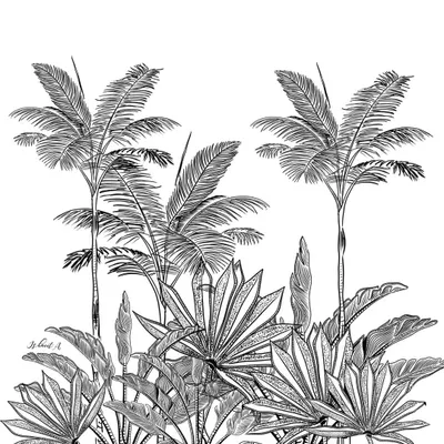 A detailed, hand-drawn illustration of tropical foliage from my 'Treasures of Madagascar' collection. This monochrome botanical print is versatile enough for everything from elegant wallpaper to minimalist fabric designs.