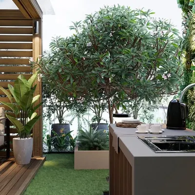 A key feature of our terrace designs is functionality. This render shows an outdoor kitchen and bar area seamlessly integrated with planters and a vertical garden, making it perfect for hosting.